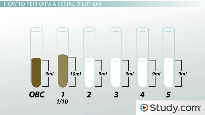 Serial Dilution Explained